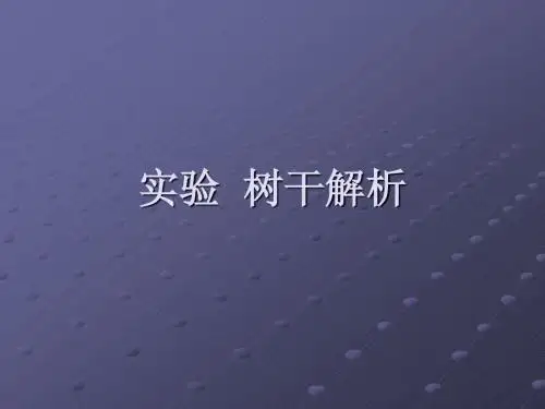 实验十 树干解析