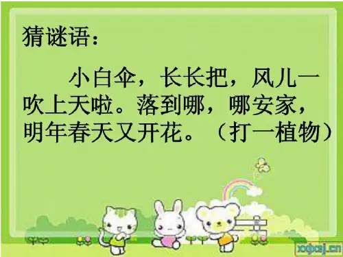 蒲公英第一、二课时完整