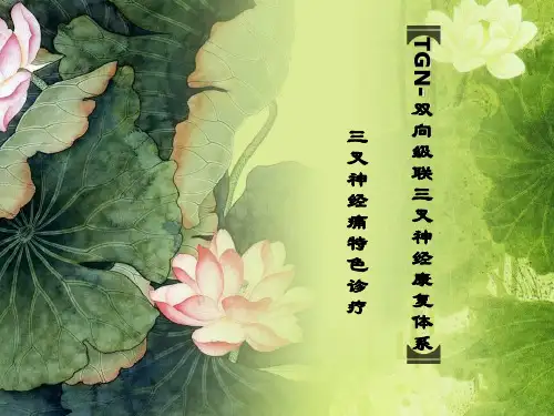 TGN-双向级联三叉神经康复体系