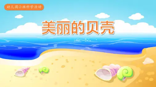彩色卡通风幼儿园小班科学活动科学教育《美丽的贝壳》教学课件