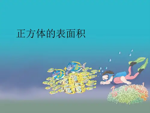 正方体的表面积计算