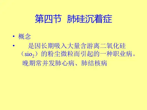 肺硅沉着症1