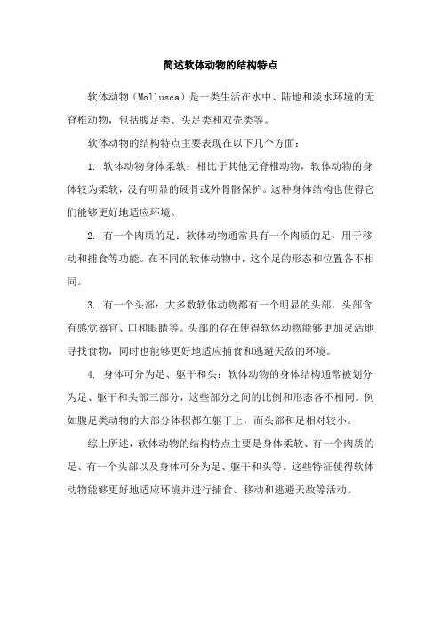 简述软体动物的结构特点