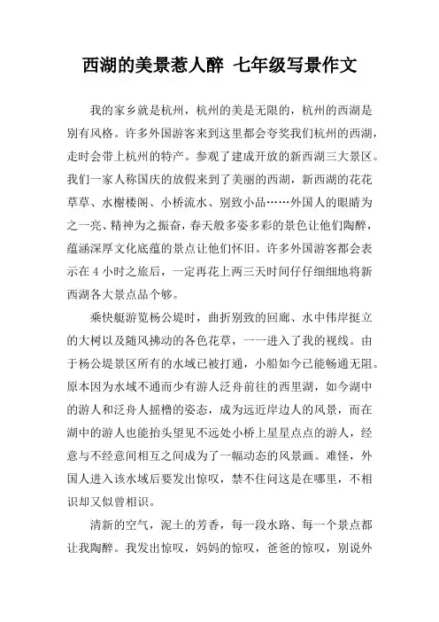 西湖的美景惹人醉 七年级写景作文