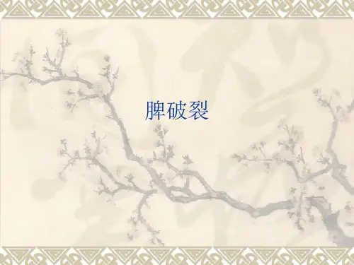 脾破裂 PPT课件