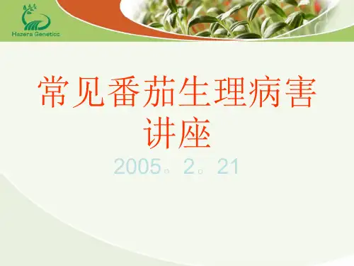 常见番茄生理病害讲座