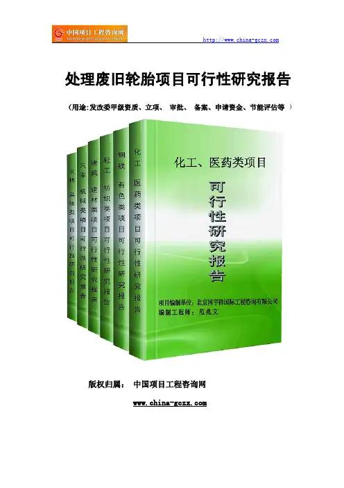 处理废旧轮胎项目可行性研究报告范文格式(专业经典案例)