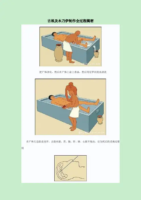 古埃及木乃伊制作全过程揭密