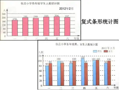 复式条形统计图