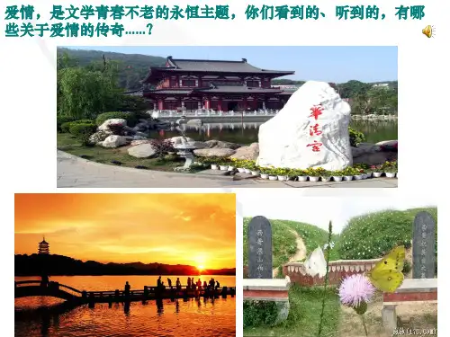 【 《孔雀东南飞》周红玉