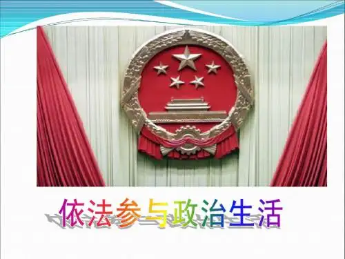 依法参与政治生活