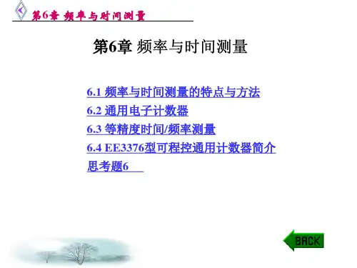 频率与时间测量.pptx