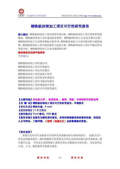 钢铁板材深加工项目可行性研究报告