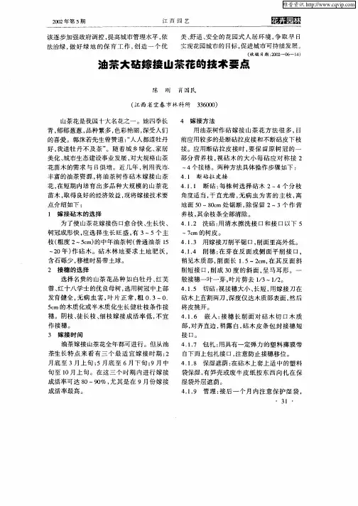 油茶大砧嫁接山茶花的技术要点