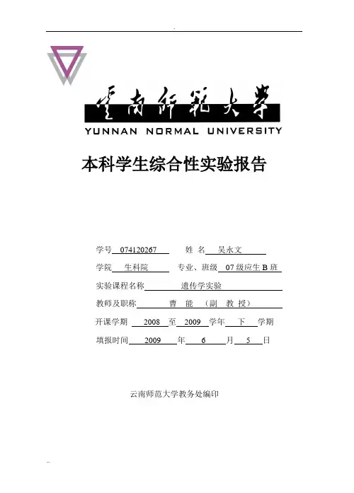 微核试验报告