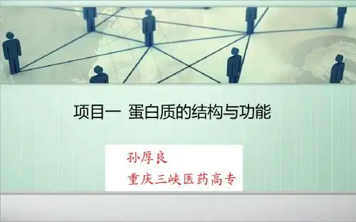2蛋白质的结构与功能