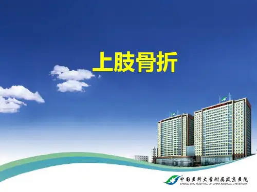 上肢骨折PPT课件