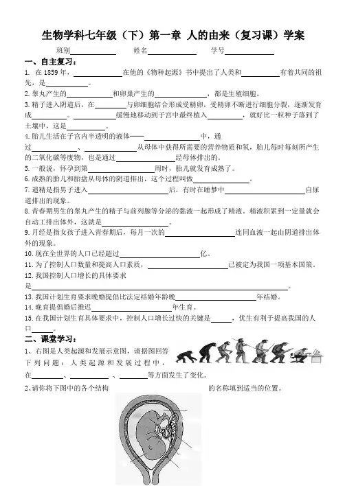 第一章 人的由来(复习课)学案