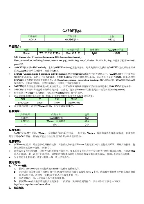 GAPDH抗体说明书