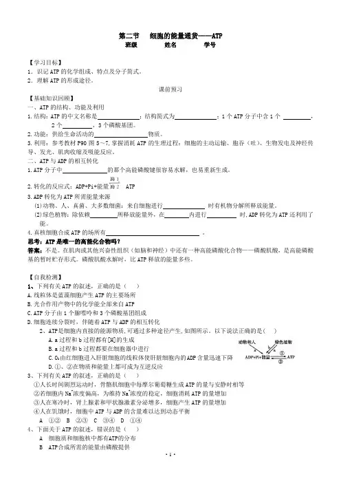人教版高一生物必修1第五章第2节《细胞的能量通货—ATP》学案含答案