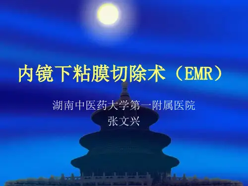 内镜下粘膜切除术