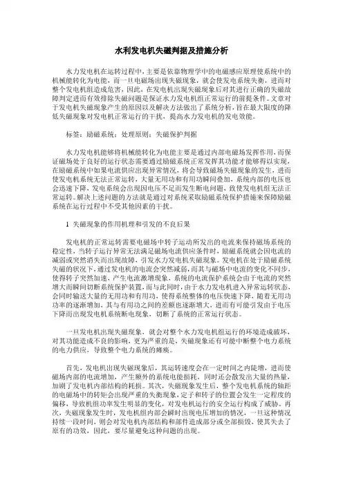 水利发电机失磁判据及措施分析