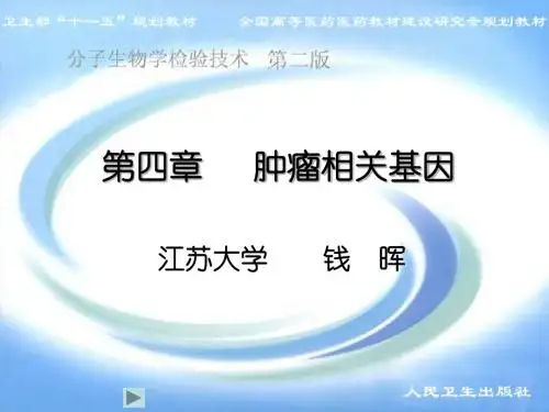 4第4章