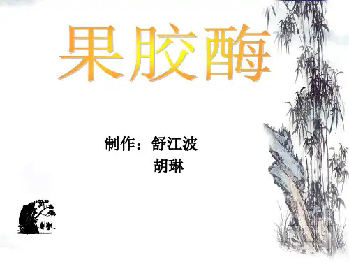 果胶酶简介