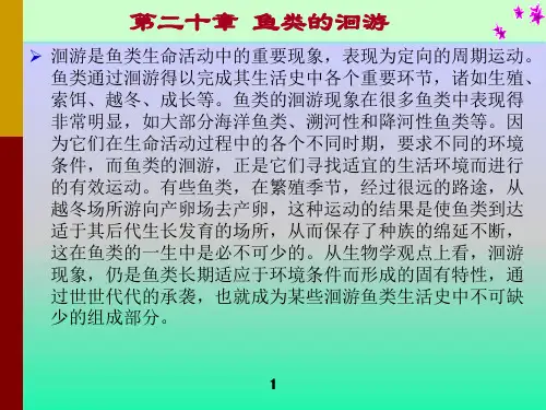 鱼类的洄游