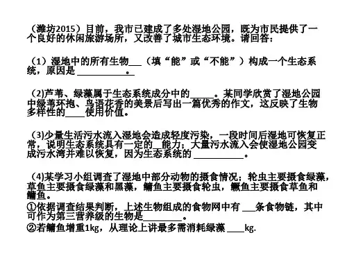 初中生物生态系统中考题