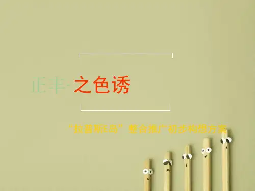 “拉普斯E岛”整合推广初步构想方案