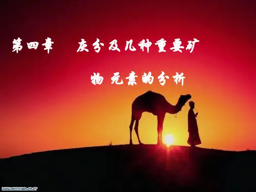 灰分xin