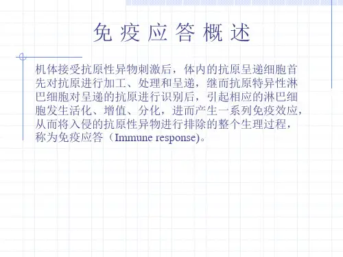 免疫应答的基本过程和效应机制