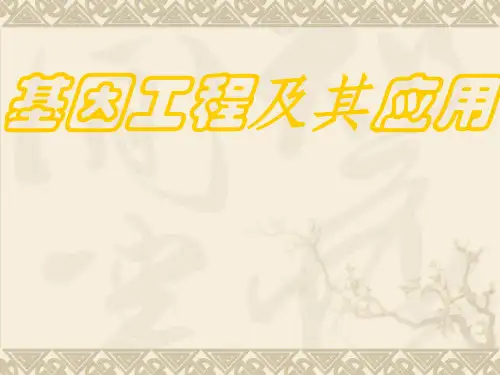 基因工程及其应用 课件