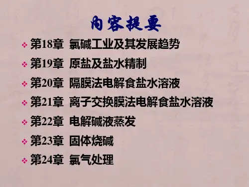 氯碱化工工艺