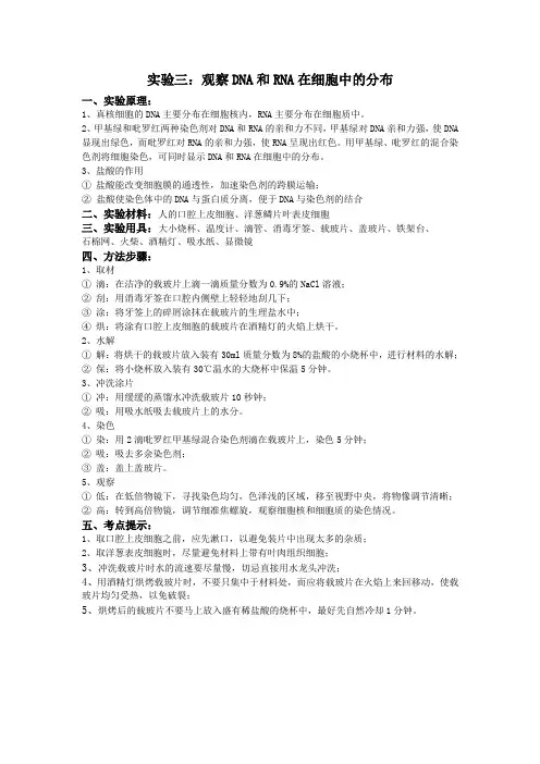 观察DNA和RNA在细胞中的分布