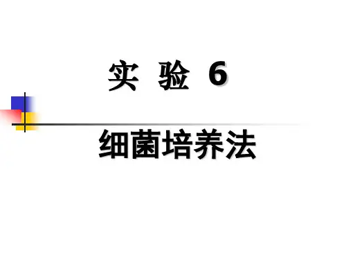 细菌的接种及分离培养