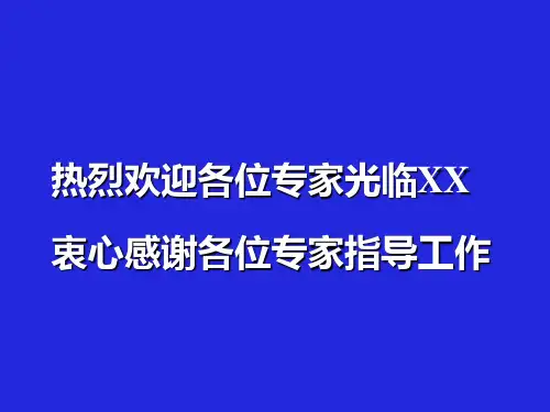大学本科评估报告
