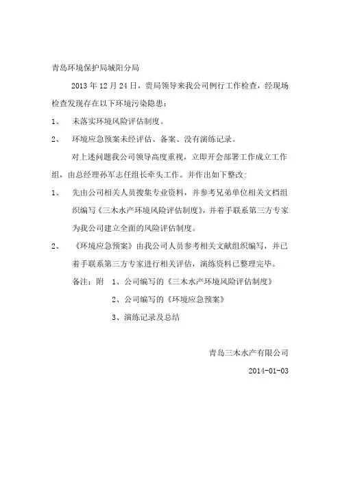 环保整改报告