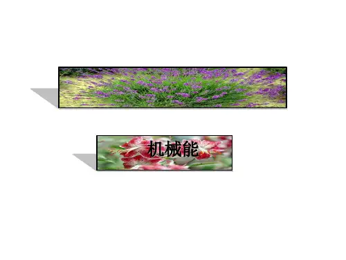 浙教版九年级科学上册3.2机械能课件2