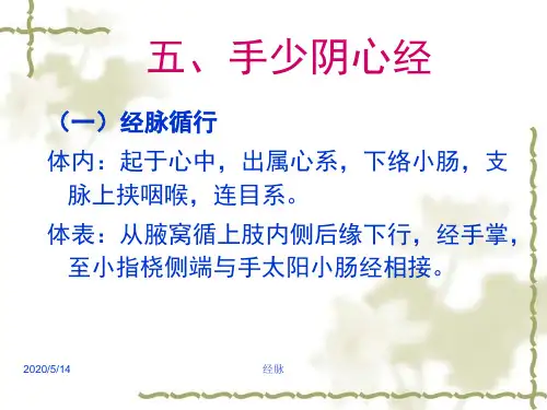 5手少阴心经解析