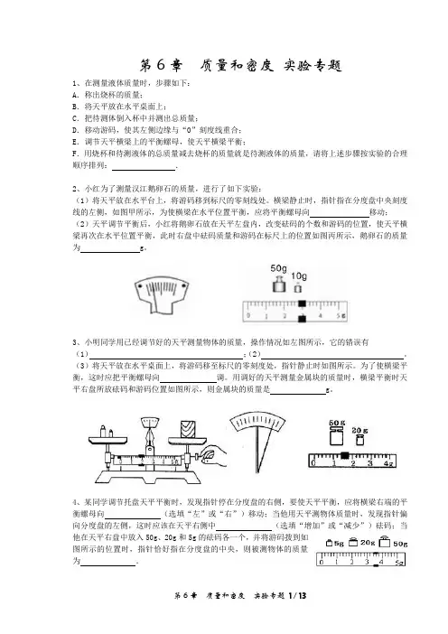 第6章  质量和密度(实验专题)