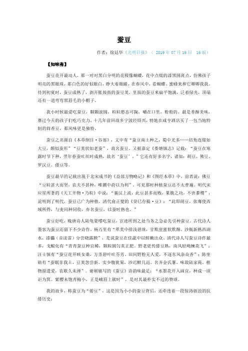 蚕豆 3