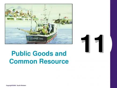 11public_goods 曼昆 微观经济学课件