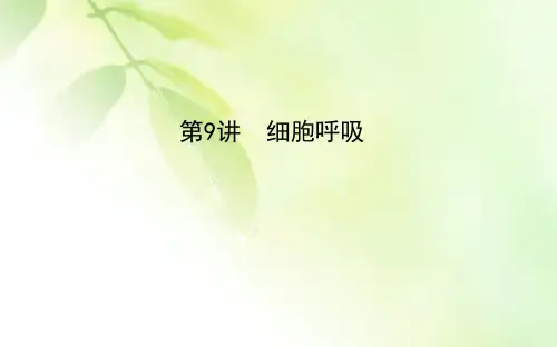 2021版新高考地区选考生物一轮复习课件：第9讲 细胞呼吸