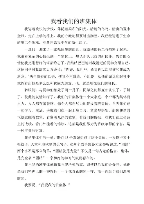 我看我们的班集体