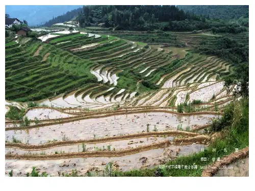 等高线地形图 地形剖面图   上课用