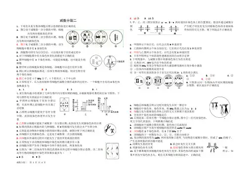 减数分裂二