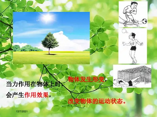 七年级科学下册 第3章 第2节 力的存在课件2浙教级下册自然科学课件