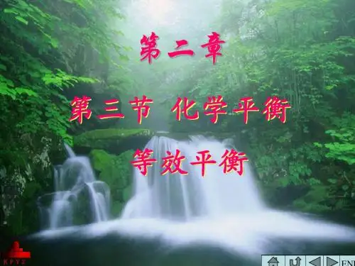 2010 等效平衡(DRS)